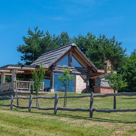 Holiday Home Ernest Zelezni With Hot Tub Ivancna Gorica Esterno foto